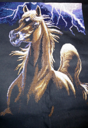 cs-horse_med.png